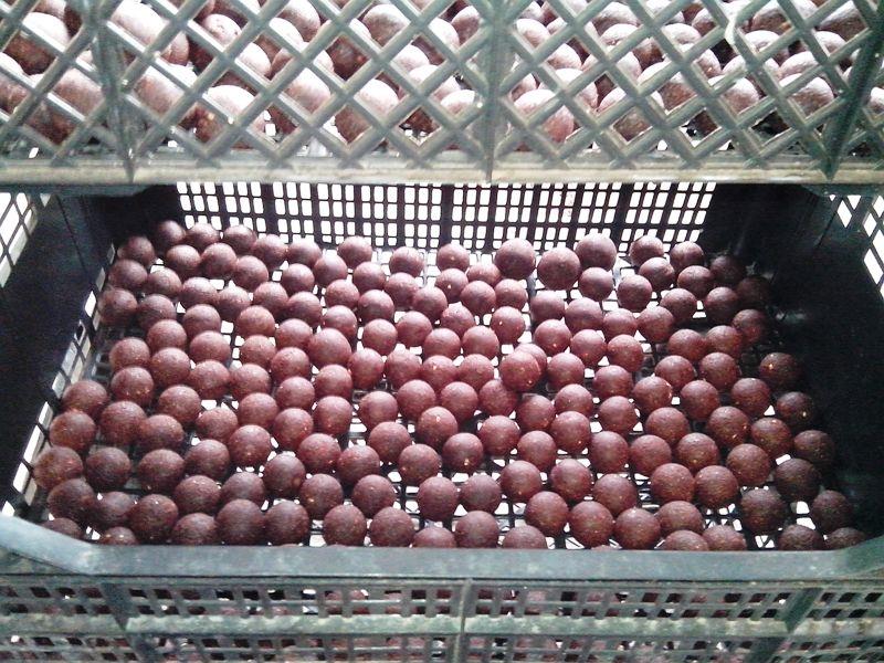 pregatiri pentru sezonul 2014  - img20140405140514.jpg